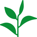 icône plante